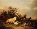Belgium Verboeckhoven Eugene Sheep With Resting Lambs And Poultry In A Landscape
